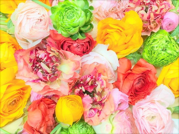 春ってワクワク最高です！