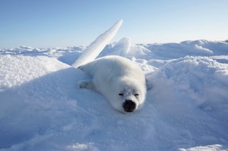 にょ～～ん 2020.3.4（水）