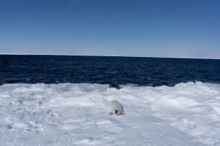 親心 2020.3.7（土）