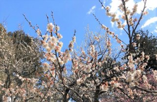 深呼吸しよう 2020.3.8（日）