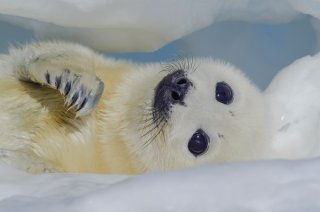 こう見えて… 2020.3.13（金）