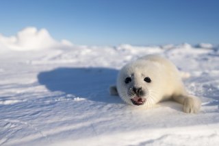 僕は元気だよ 2020.3.16（月）