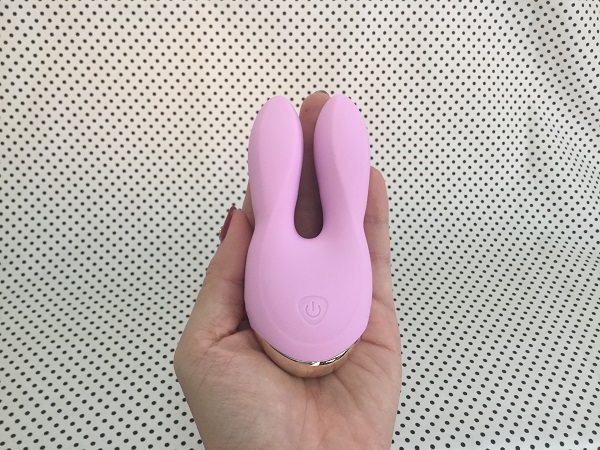 （写真:コクハク）