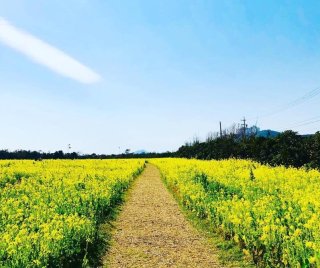 もう子供たちを悲しませたくない！先生と親たちの愛情の花