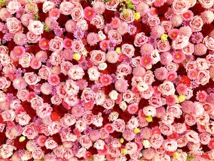 せめてお花だけでも…先生たちの愛情の形です（写真:浅野光寿）