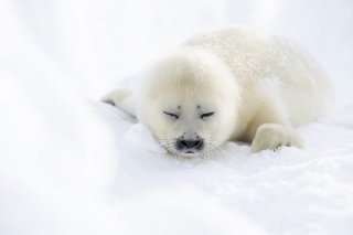 春眠暁を覚えず？ 2020.3.19（木）