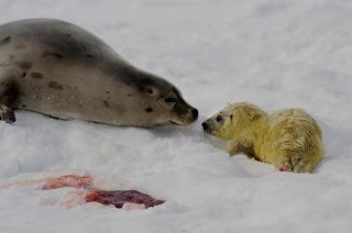 はじめまして！ 2020.3.22（日）
