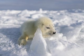 寝る子は育つ 2020.3.25（水）