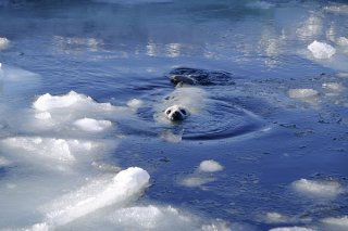 息継ぎ名人 2020.3.28（土）