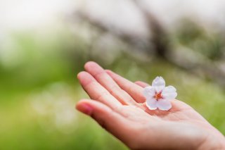 春の美容に「サクラ」を仕込んでハッピーオーラを作ろう♡