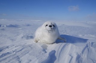 たれ目メーク 2020.4.3（金）