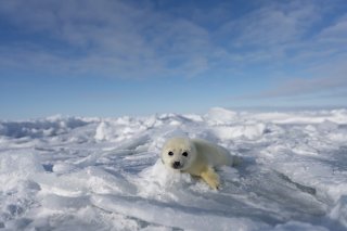 見上げてみれば 2020.4.6（月）