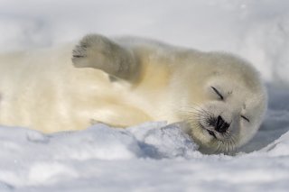 ひたすら寝る 2020.4.9（木）