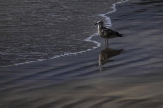 水際で… 2020.4.11（土）