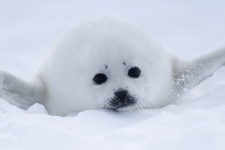 三寒四温 2020.4.12（日）