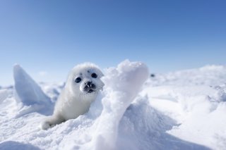 晴れアザ 2020.4.15（水）