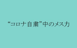 外出自粛で彼に会えない時こそ「メス力」で不安に打ち勝つ！
