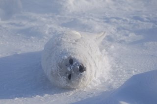 4月なのに寒い 2020.4.21（火）