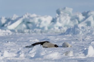 何してるの？ 2020.4.24（金）