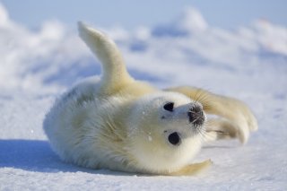 118日目 2020.4.27（月）