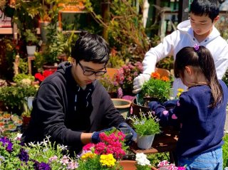 園芸入門“実践編”!新たな喜びの扉を開く植物生活のススメ#2