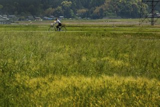 春は急がず 2020.4.29（水）