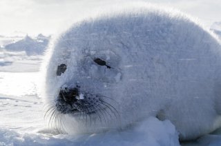 4月もがんばった！ 2020.4.30（木）