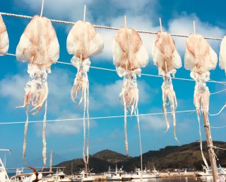 太陽を浴びて 2020.5.1（金）