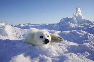 僕は城主 2020.5.3（日）