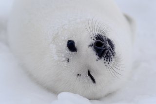 smile☆ 2020.5.6（水祝）