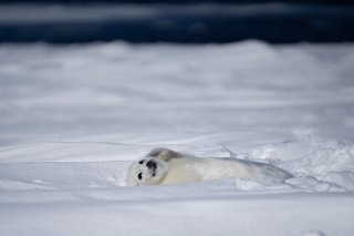 アイスクリームの日 2020.5.9（土）
