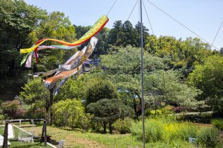 #stay homeの日々 2020.5.14（木）