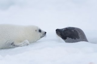 目元が… 2020.5.15（金）