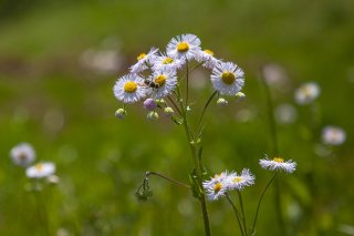 自然に生きる 2020.5.17（日）