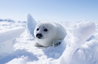 まるこ 2020.5.18（月）