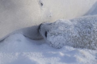 たくましく生きる 2020.5.21（木）