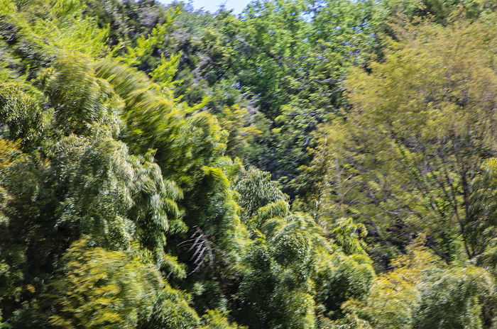 （Ｃ）Koji Takano