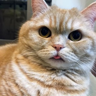 あざとかわいい 2020.5.28（木）