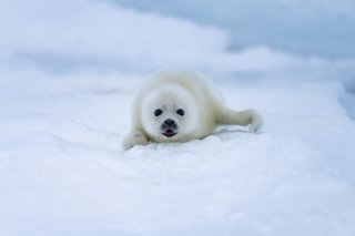 少しずつ 2020.5.27（水）