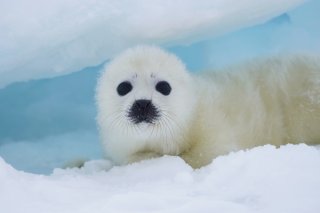 おねだり顔 2020.5.30（土）