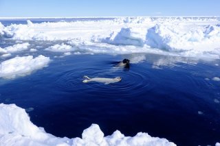 世界の海はつながっている 2020.6.2(火)