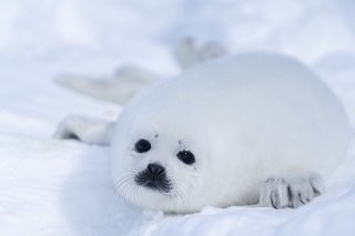 愛され顔 2020.6.5(金)