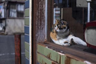 お外は… 2020.6.10(水)