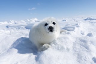 レフ版効果 2020.6.8(月)