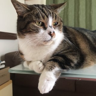 続・圧がすごい 2020.6.21（日）