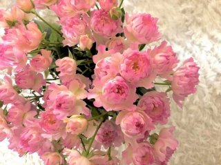 愛と美のオンナの幸せを司る「ピンク花」のとてつもない威力