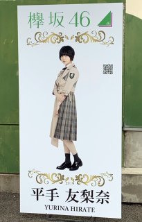 公演前、富士急ハイランド内に設置された各メンバーのパネル。平手パネルを写真に収める行列は最大3時間待ちだった／（写真:こじらぶ）