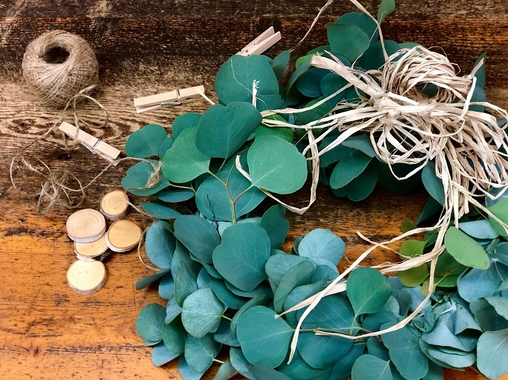 ユーカリリースはフレッシュとは違う香りを家中に放ちます