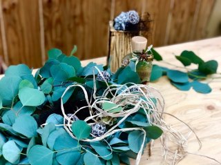 幸運は我が家へ～お邪魔な虫はお帰り下さい！ユーカリの効能