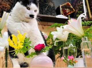 いろいろあって人間って大変ね　ｂｙさぶ店長